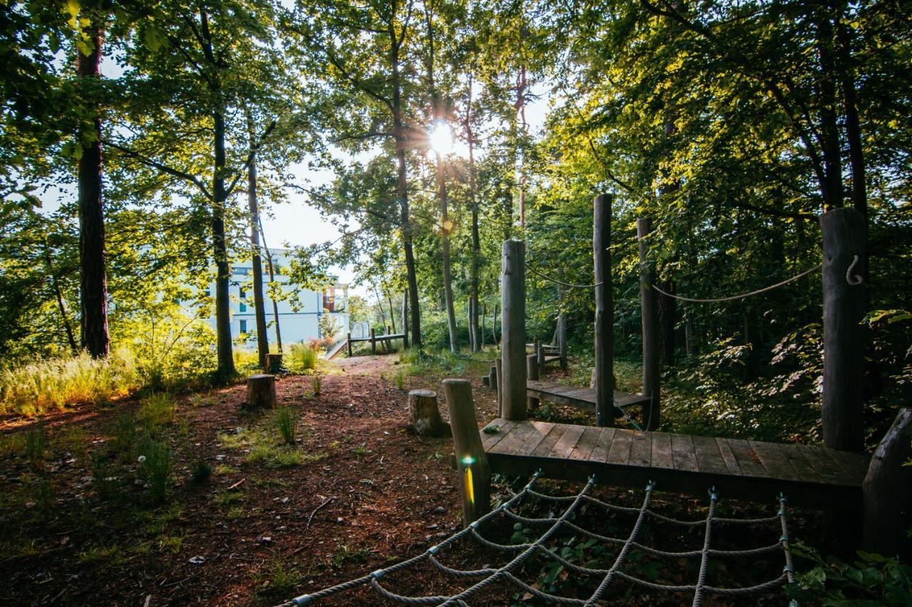 Oasis Appart - Wohnen Im Koenigspark - Elbhang Dresden - Grosse Terrasse - Netflix - Tg Exterior foto