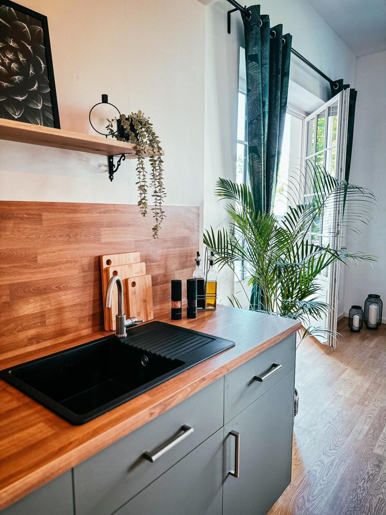 Oasis Appart - Wohnen Im Koenigspark - Elbhang Dresden - Grosse Terrasse - Netflix - Tg Exterior foto